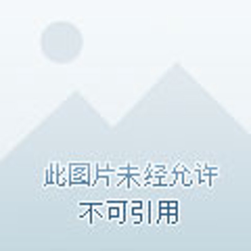 物业安保:城市守护者的隐形堡垒